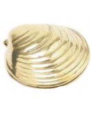 Шкатулка "Ракушка" 15.0750 в блестящей латуни