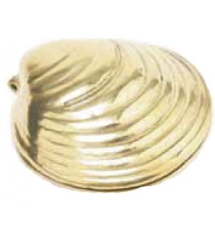 Шкатулка "Ракушка" 15.0750 в блестящей латуни